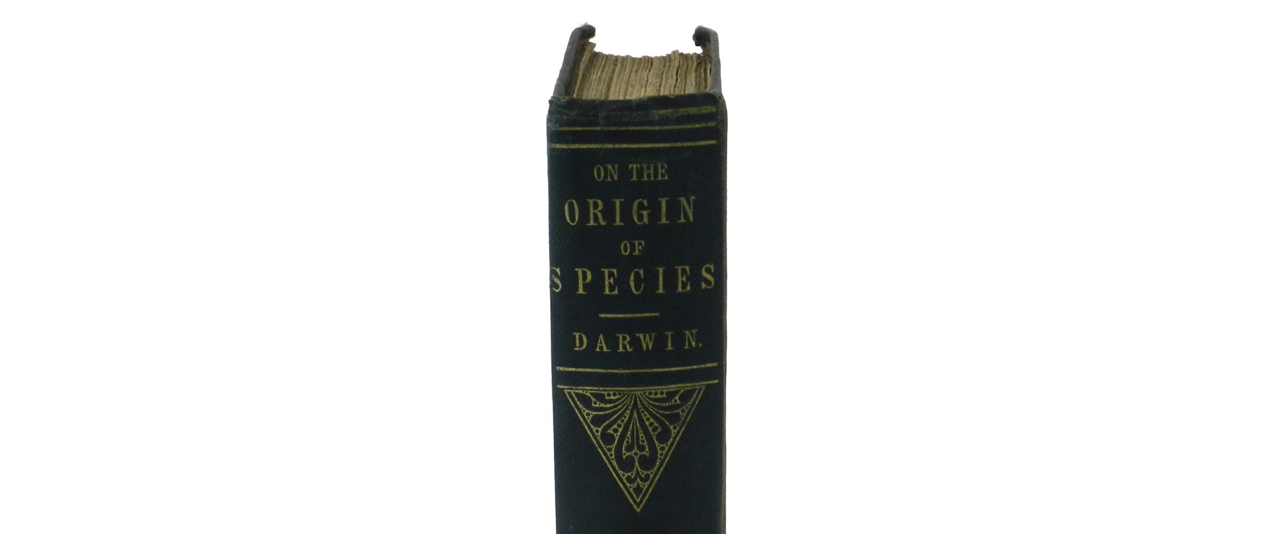 Second Edition of Shrewsbury-Born Charles Darwin’s Landmark Work